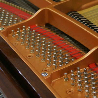 Yamaha DGC1M4 1.JPG